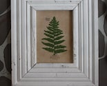 catherineotto Framed French Knot Fern Picture