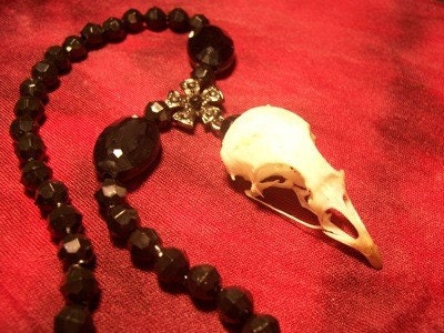 REAL bird skull necklace/ Gingersnaps inspired gothic black beaded choker/ goth vampire victorian