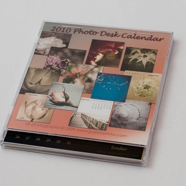 2010 Photo Desk Calendar