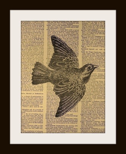 BIRD Print on Vintage Dictionary Page FREE SHIPPING WORLDWIDE