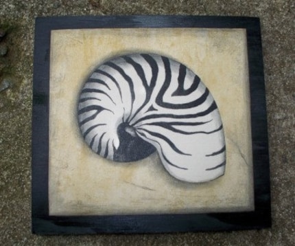New Nautical Beach Seashell Zebra Bathroom Wall Art