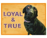 BLACK LAB ACEO ART CARD Signed Dog Print CUTE LABRADOR RETRIEVER Loyal and True