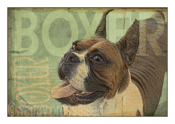 BOXER DOG Art Print MODERN GRUNGE ART POSTER Signed Puppy POOCH Boxers