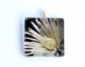 White Chrysanthemum Glass Tile Photo Pendant or Charm