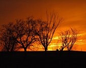 Winter Sunset - 5x7 matted photograph