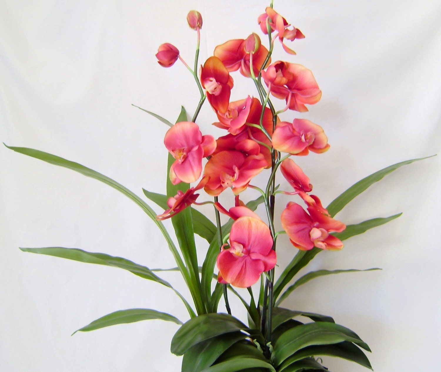 Scented Silk Orchid - Sunset Orange Phalaenopsis