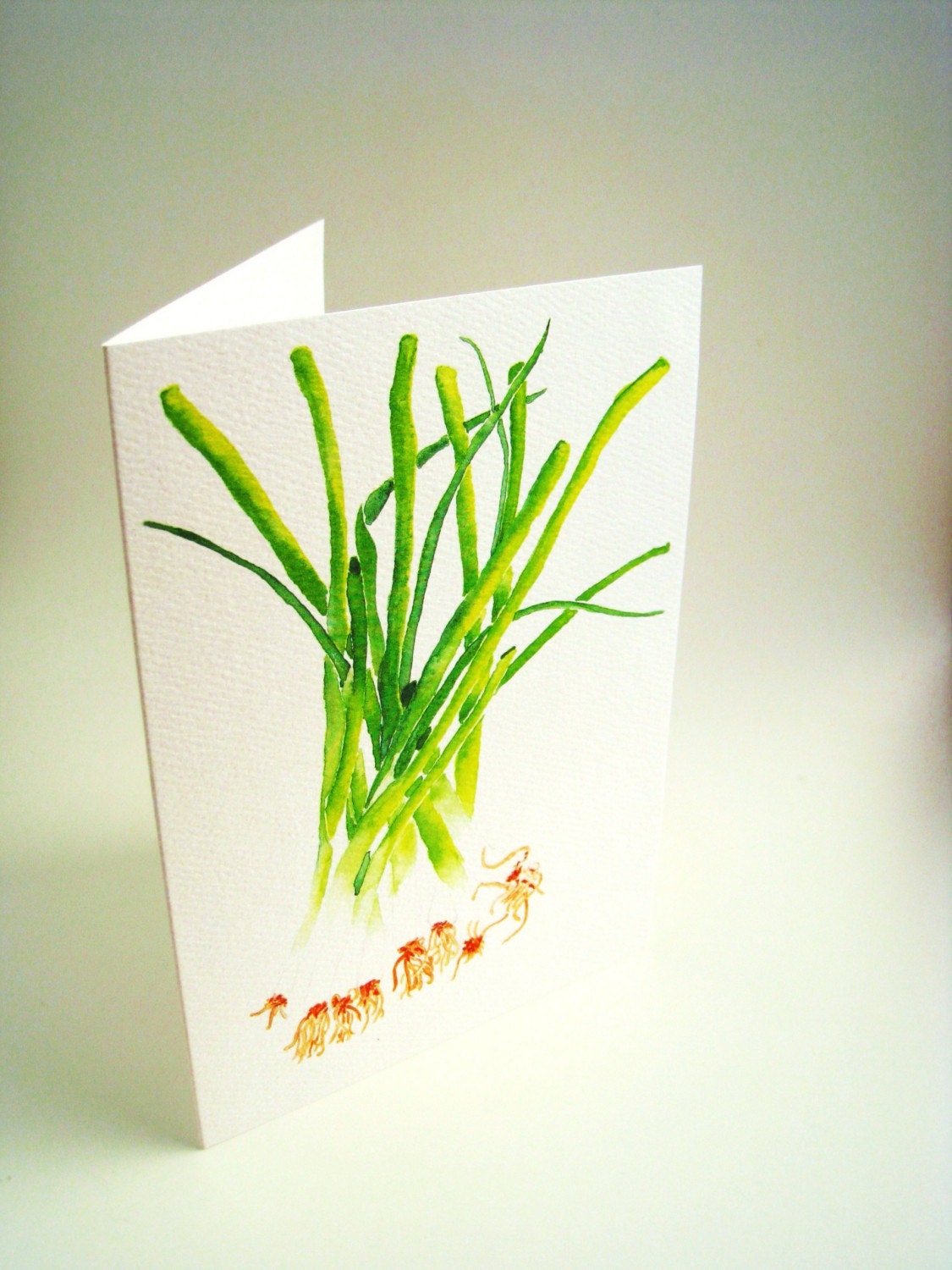 Green onion herd, set of 5 cards with envelopes