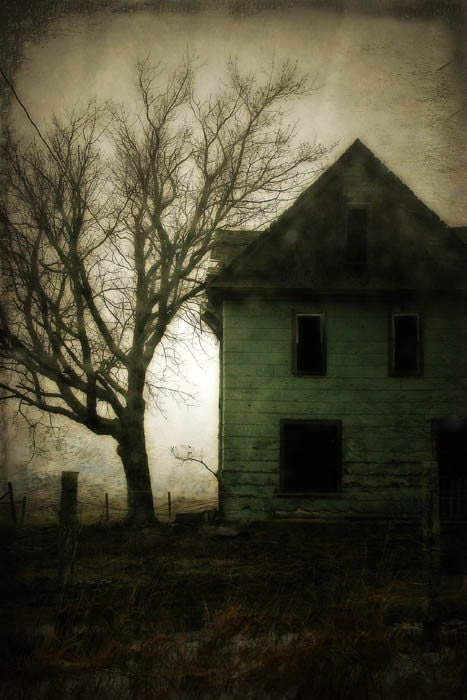Haunted  - 4x6 Fine Art Photograph