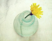 Yellow Zen - Fine Art Photography print - dandelion - flower