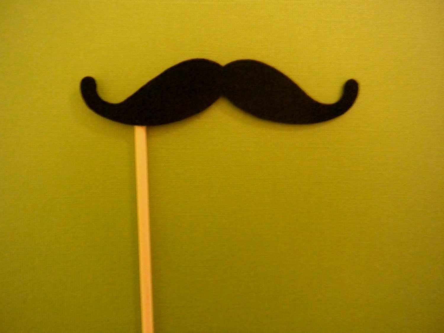 Mustache on a Stick - The Magician