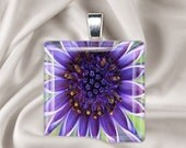 Purple Passion Flower Tile Pendant