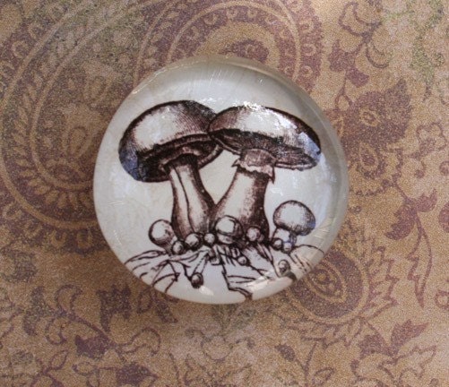 The Mighty Mighty Mushroom Glass Marble Magnet