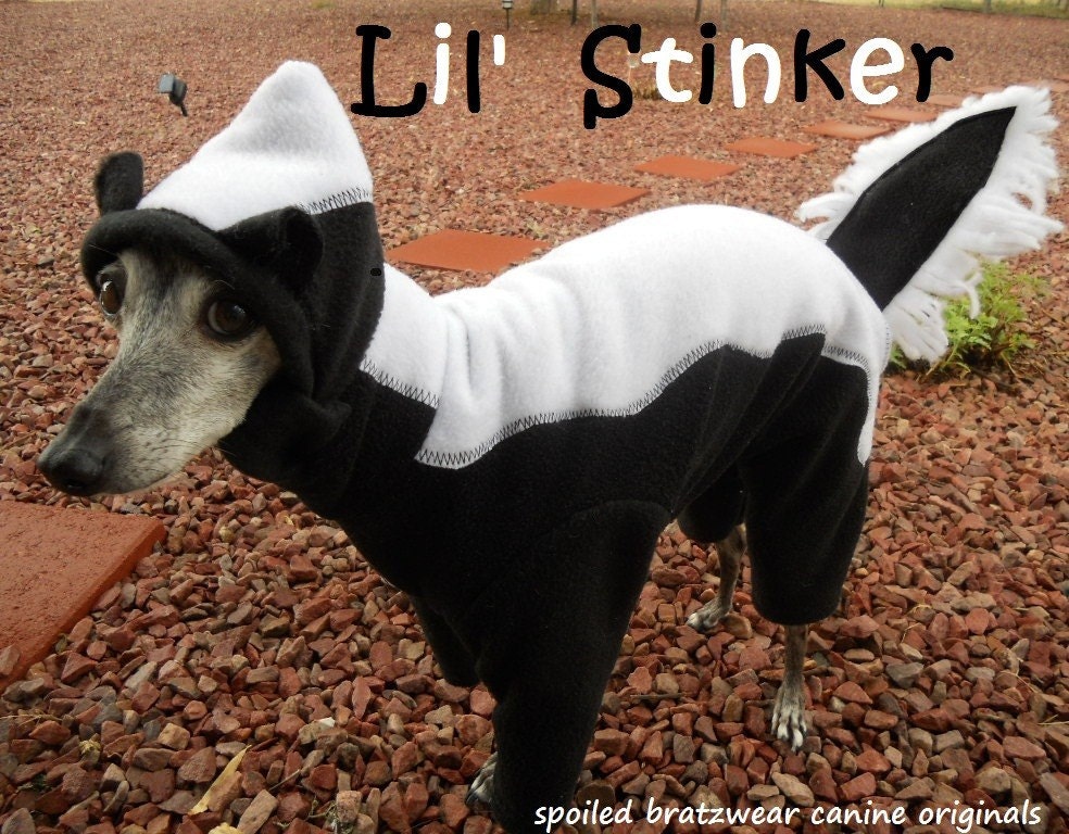 Lil' Stinker Skunk Dog Costume for Halloween custom made