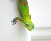 Tropical Bright Green Gecko 8X10 photo of a Hawaiian Gecko
