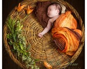 Pumpkin Spice newborn baby wrap, infant photography, cocoon, blanket