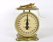 Vintage American Family Gold Metal Scale