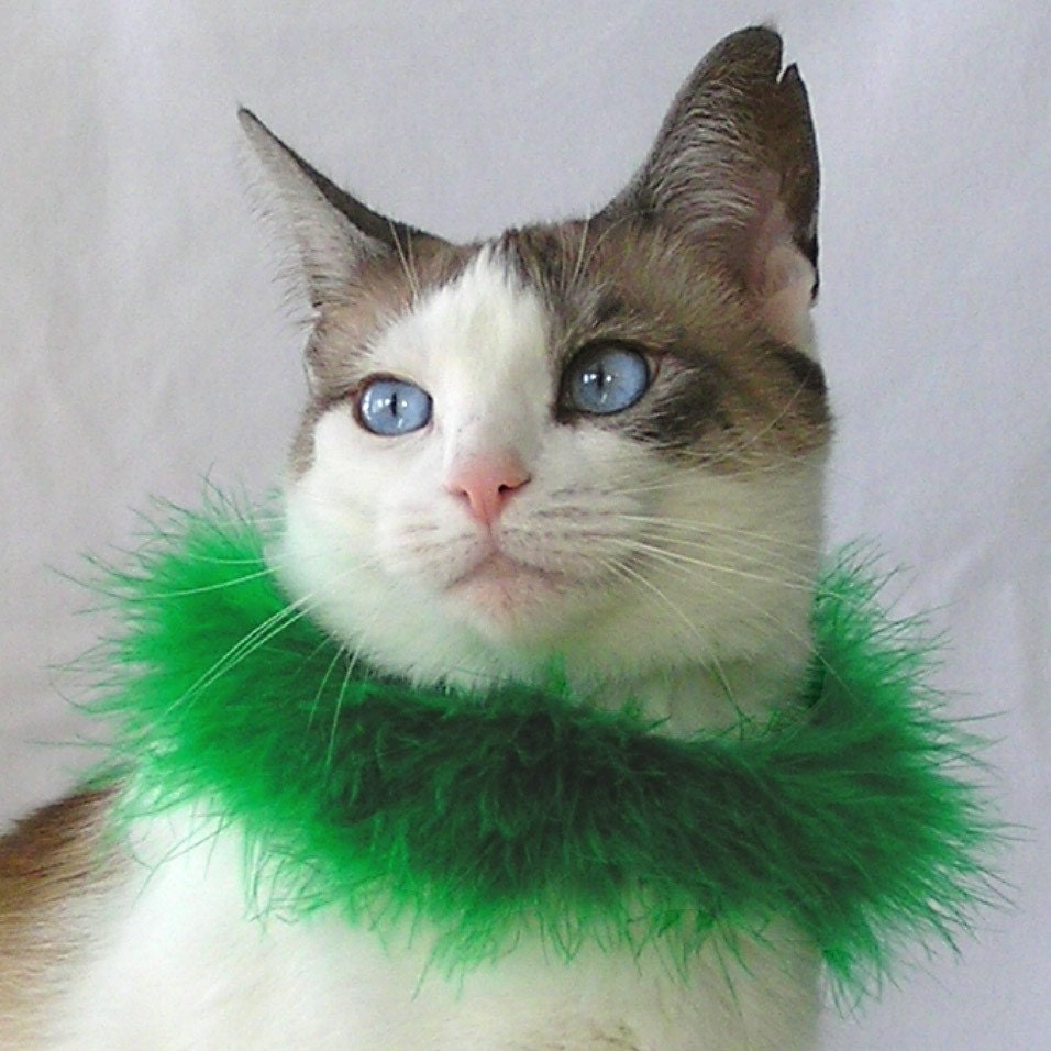 Emerald - Custom Fitted Boa Pet Collar
