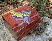 Cedar box with poison arrow tree frogs