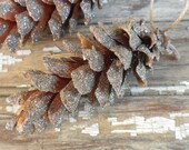 Pinecone Holiday Ornament dusted in glitter