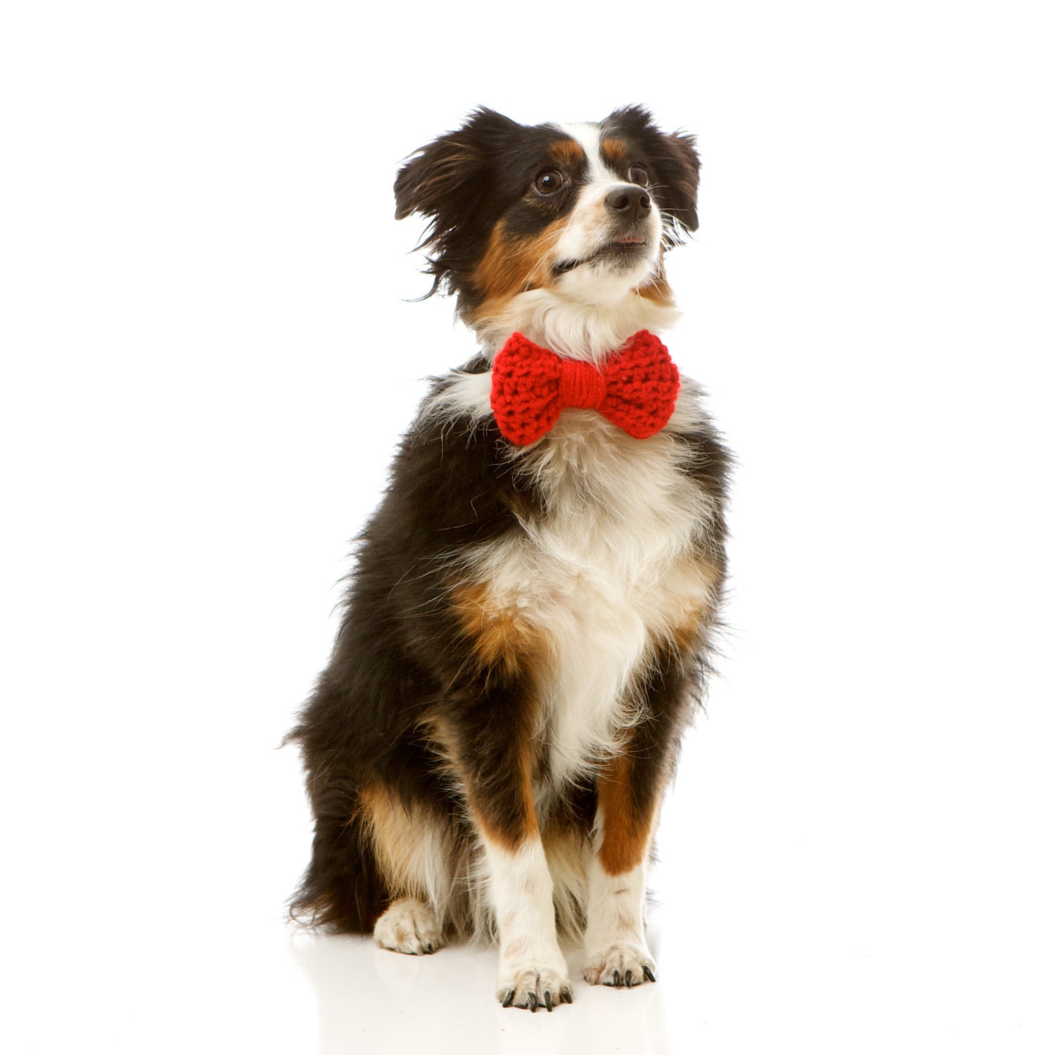The Pretty Bow for Dogs on Valentine's Day, Formal Occasions and Parties: SIZE SMALL (Available in over 30 Colors)