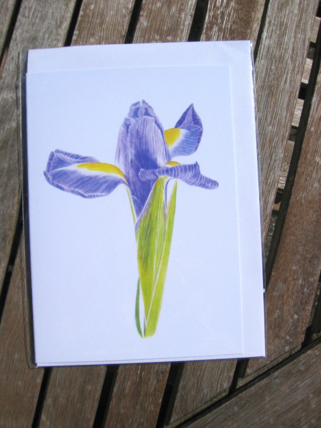 Greeting card - Portrait of an Iris