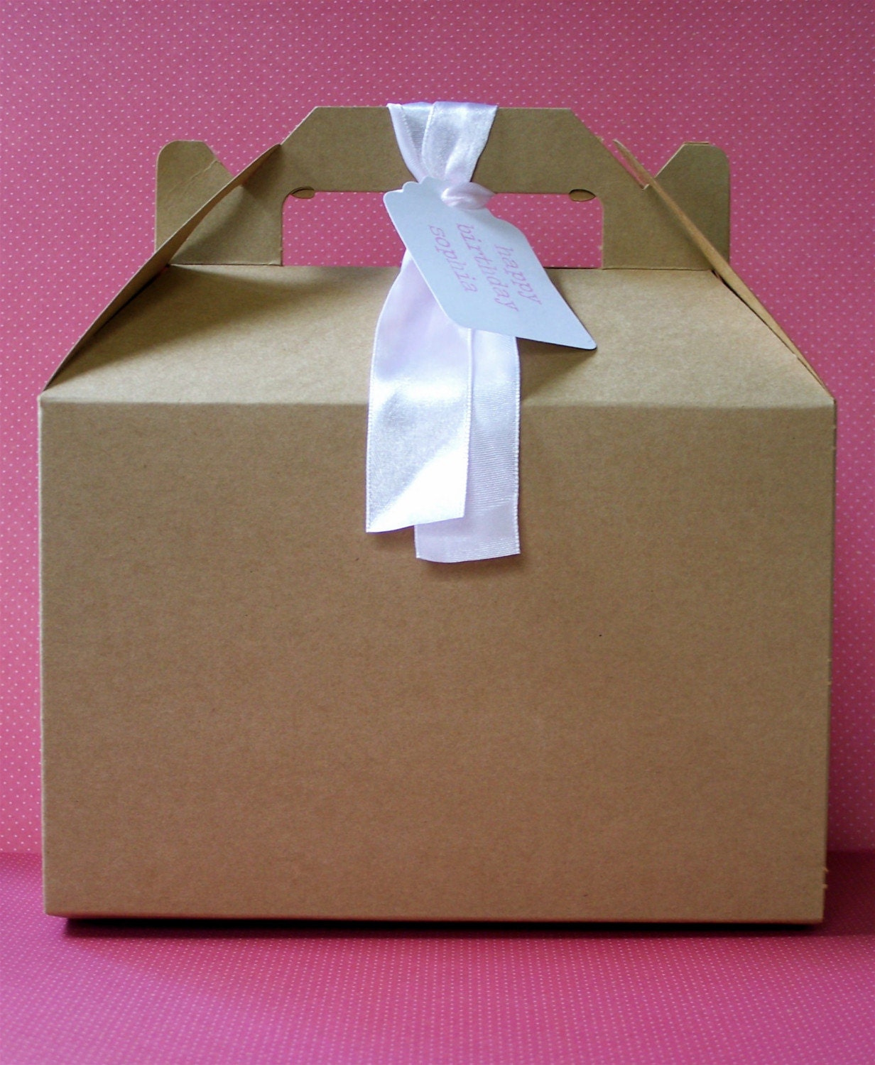 Custom Gable Party Boxes / lunch box/ party favors