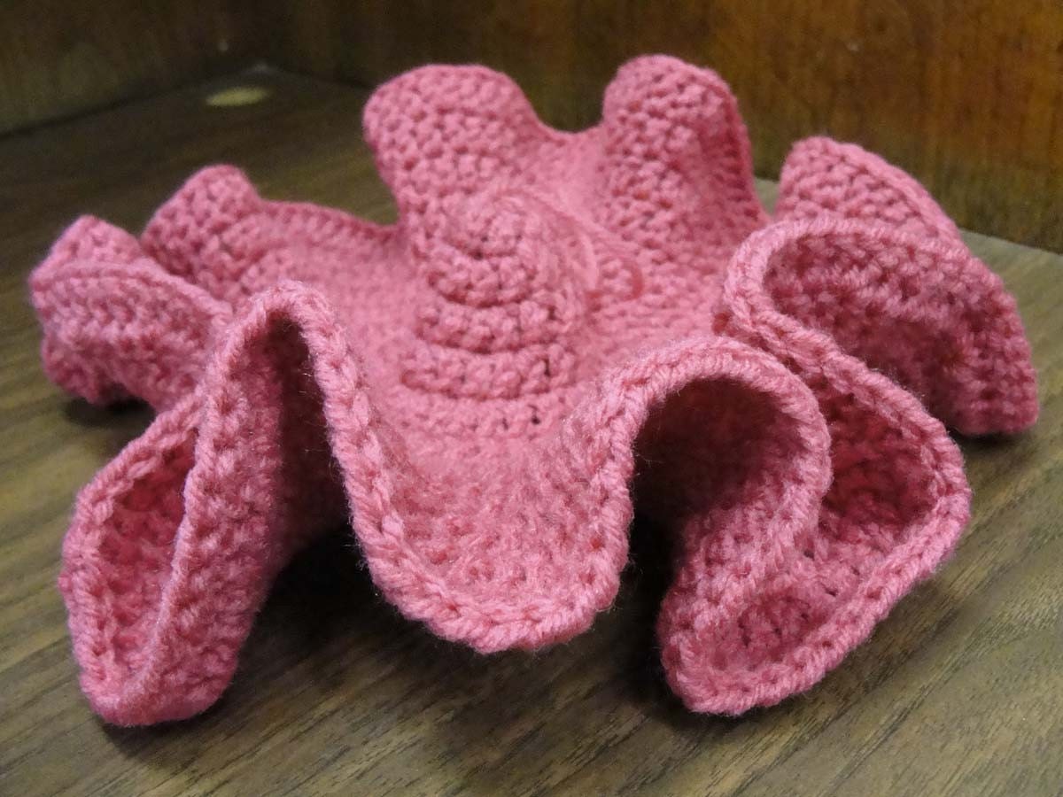 hyperbolic topology plane crochet