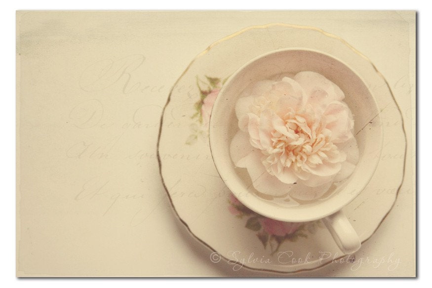 Shabby chic tea and camellia 5x7 fine art photographic print