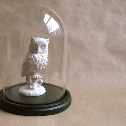 Owl Under Glass