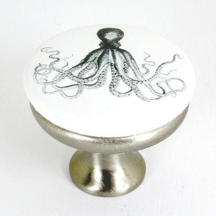 brushed nickel drawer pull with vintage illustration of octopus