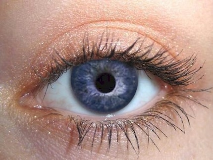 Mangosteen - Pure Organic Mineral Eye Color