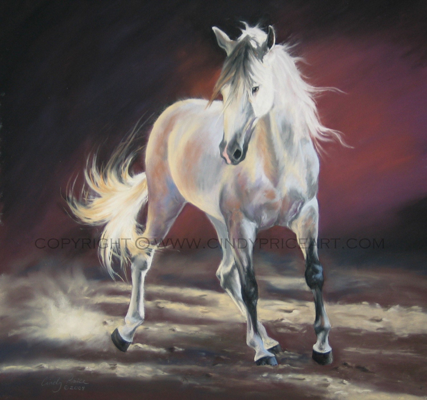 Andalusian Horse Original Pastel painting drawing by Cindy Price equine art