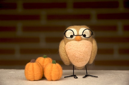 Dad and the Pumpkin Patch - Needle Felted Owl and Pumpkins