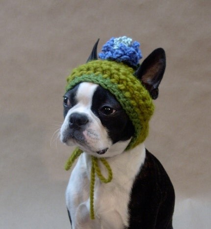 Blue Blossom Dog Hat - Size Small