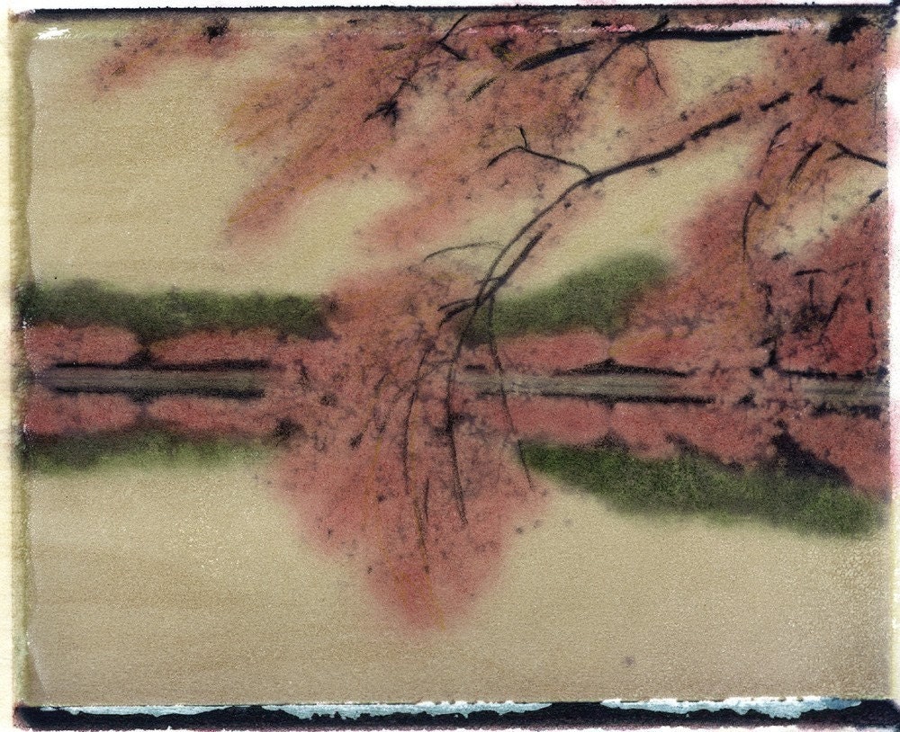 Cherry Blossoms at the Tidal Basin Washington DC Framed Print