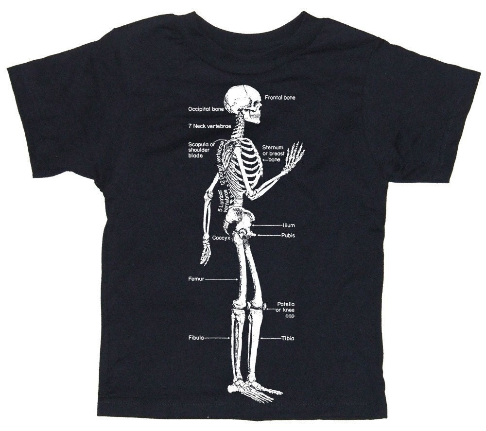 Skeleton Diagram Biology Screen Print Baby or Toddler Jet Black T-Shirt
