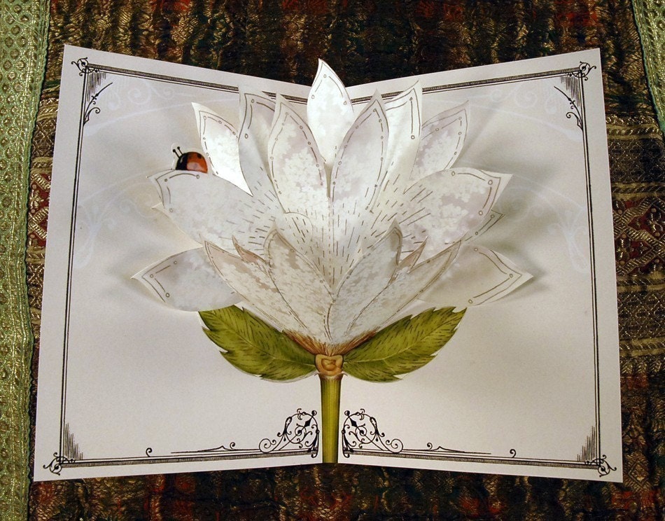White Lace Blooming Popup Card