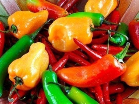 Chili peppers recipes