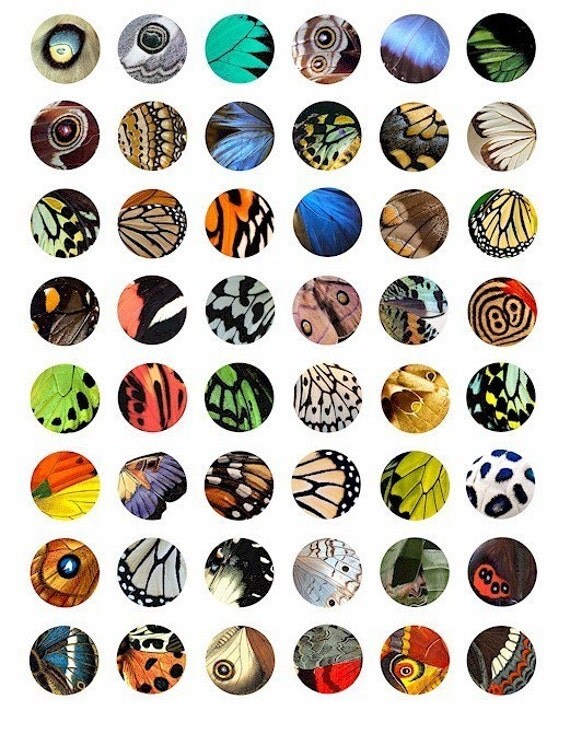 clip art butterflies. patterns clip art collage