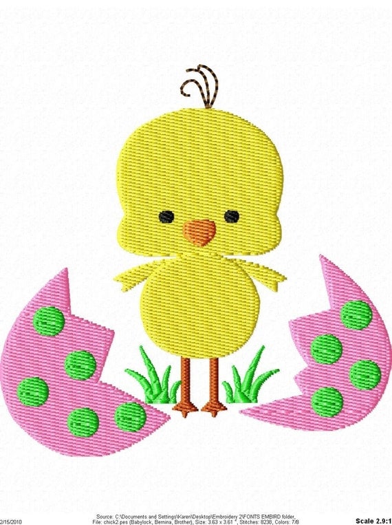 Easter Egg  Baby Chick