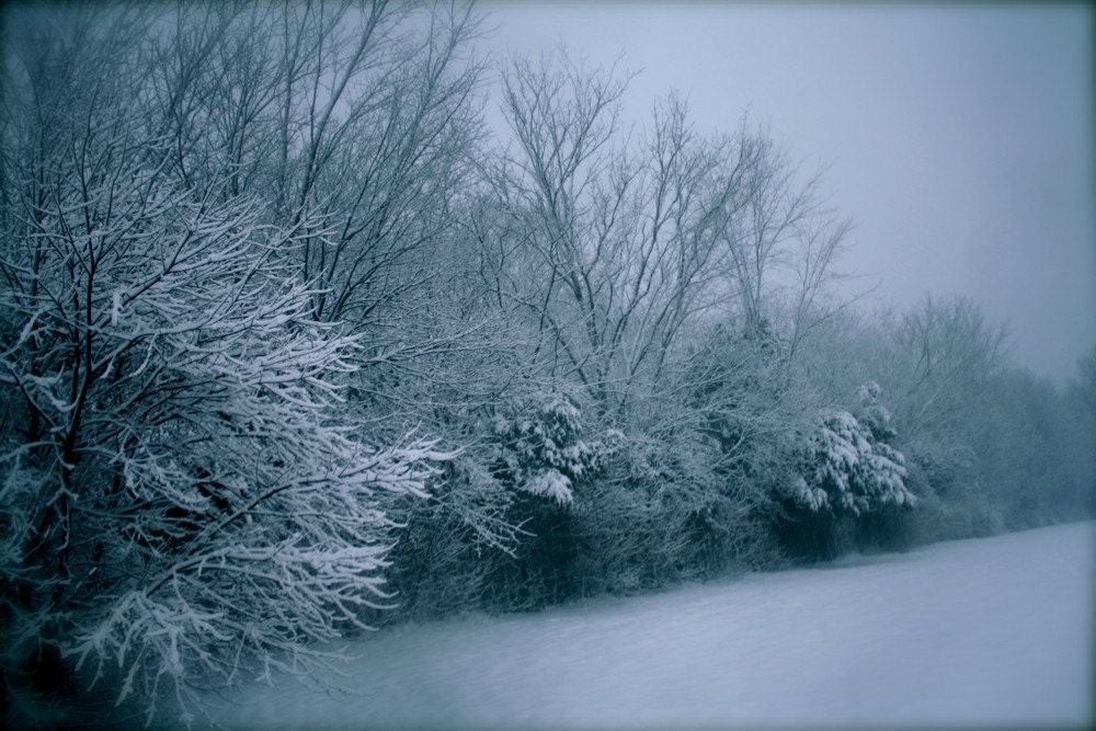 Winter Wonderland. 8x12 Fine Art Photograph. Free Shipping.