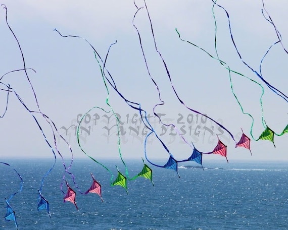 Kite Tails in the Wind - 8x10 digital photo