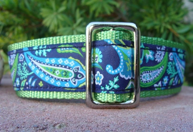 1.5" Adj. Quick Release Collar - Paisley Blue on Lime -- Med or <span class=