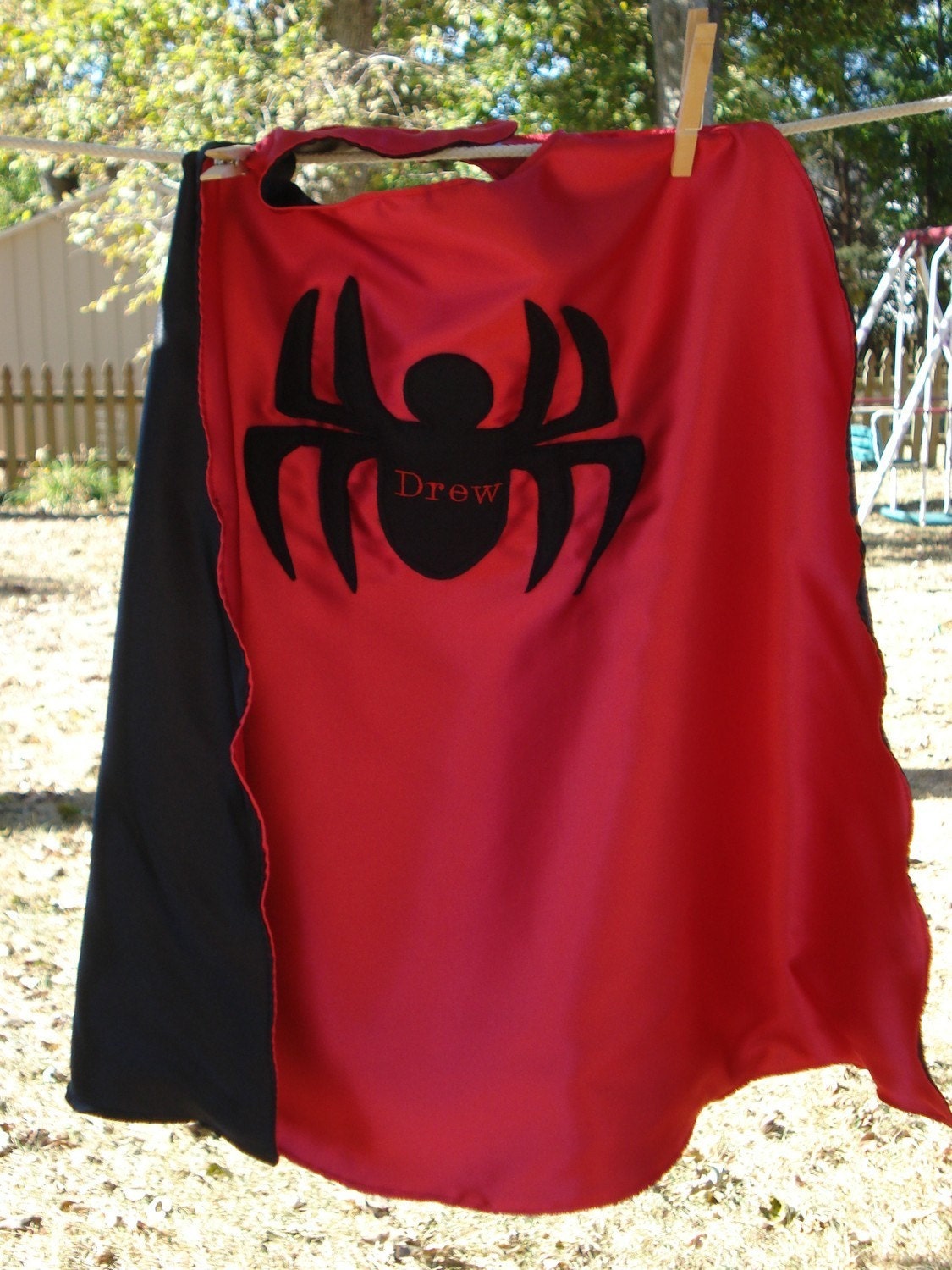 Custom Embroidered Spider Cape