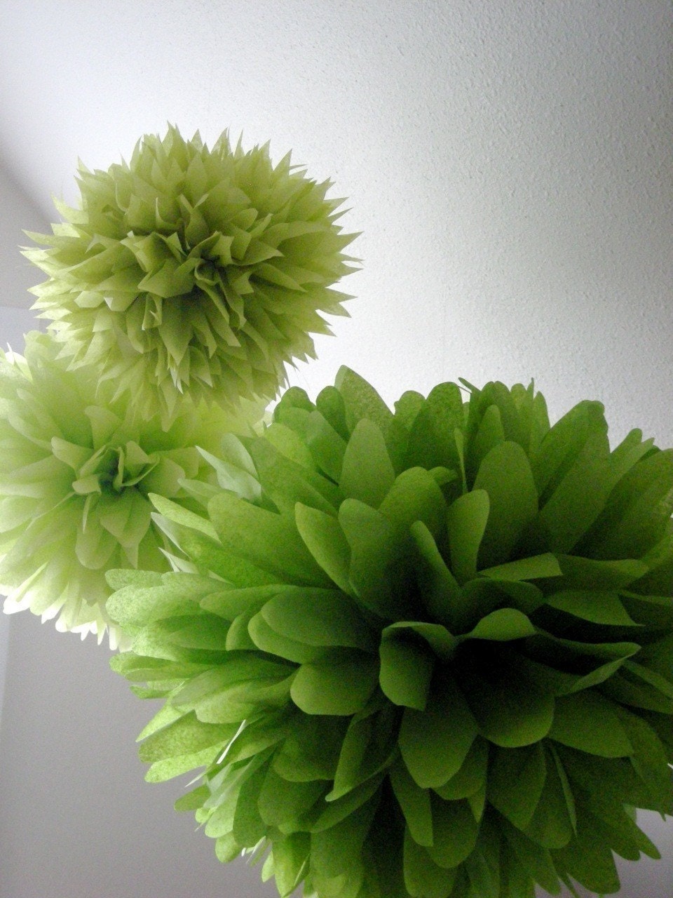 Ode to Chartreuse... 3 poms