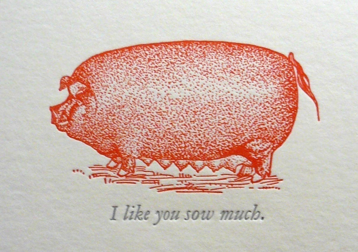I like you sow much.