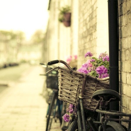 Bicycle photography - Sunday in Cambridge -Nostalgic Fine Art Photo of rustic vintage bike- BOGO for CIJ