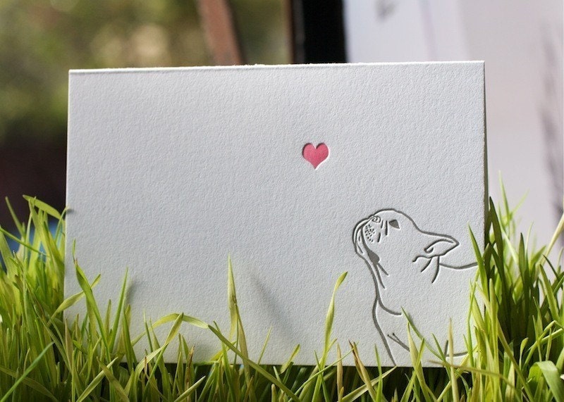 French bulldog with heart card