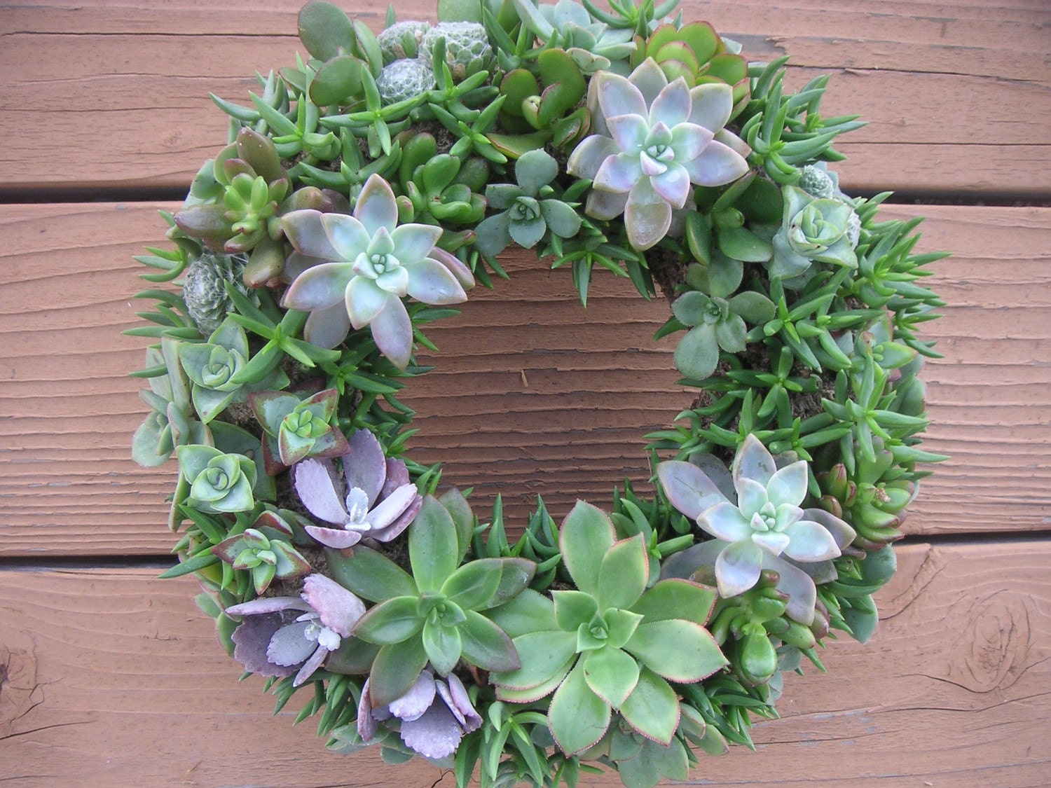 Beautiful Succulent Wreath, Centerpiece , Perfect For Weddings, Valentines Day, Home Decor and More, February Delivery