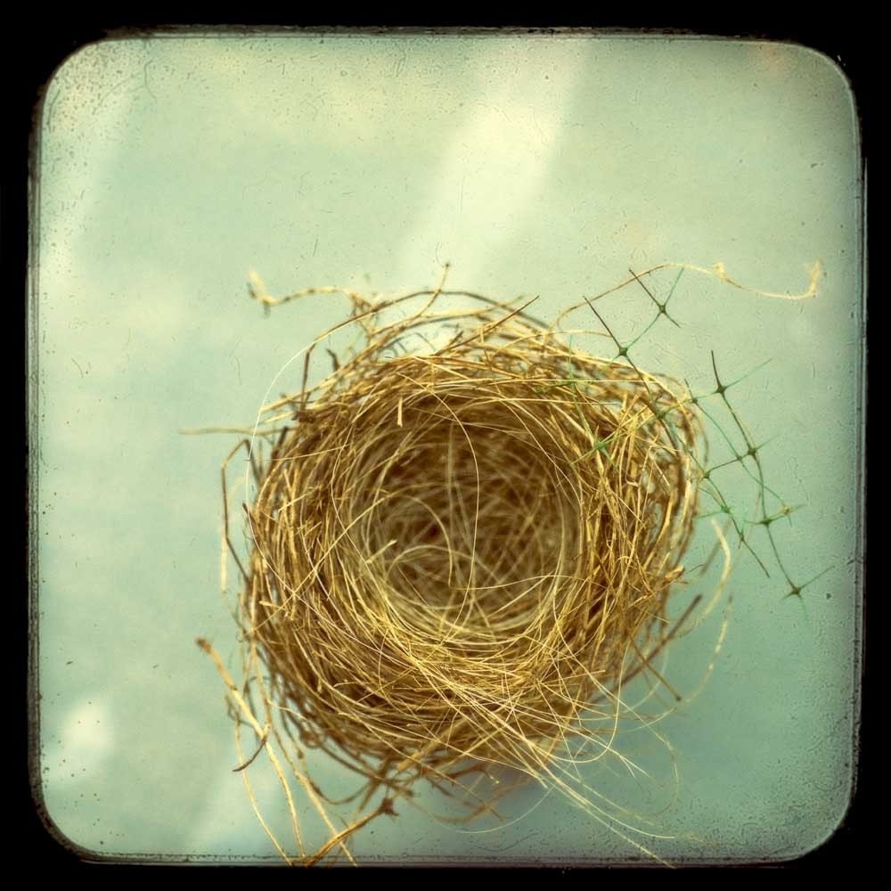 Empty Nest - Fine Art Nature Photography - Brown bird's nest on a sea of teal blue - 8x8